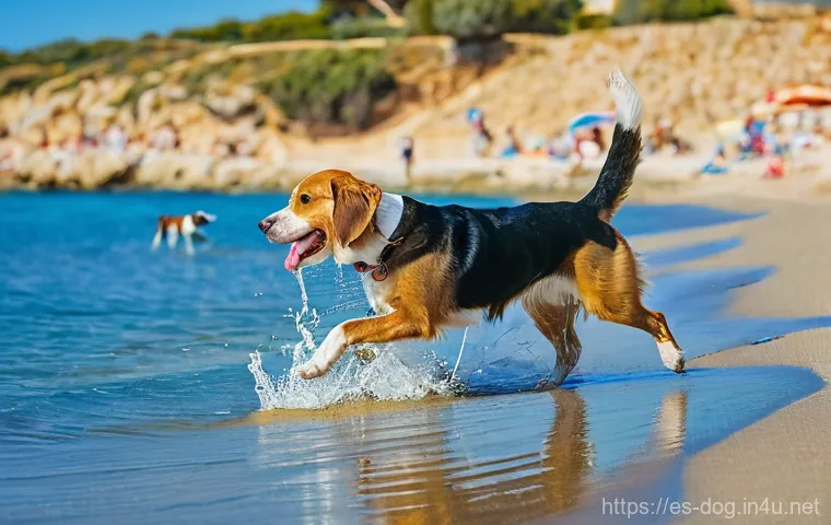 강아지와 함께 즐기는 활동 - **A Vibrant Spanish Beach Day with Dogs:**
    A wide, sun-drenched pet-friendly beach in Barcelona,...