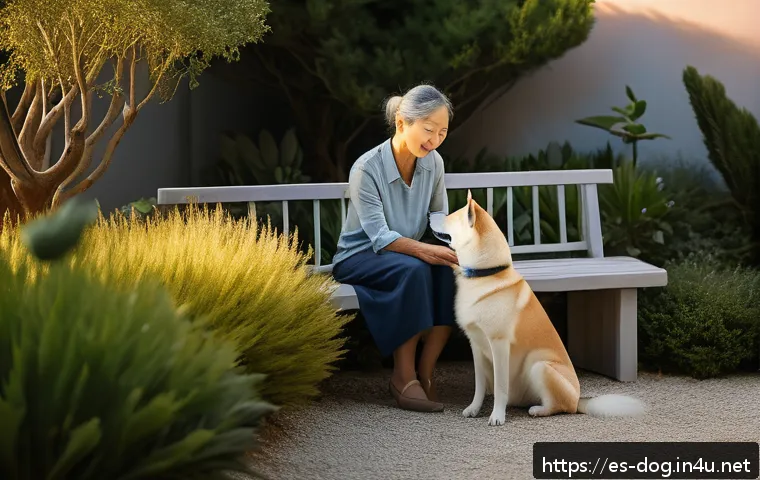 진돗개의 독립성 관련 이미지 2